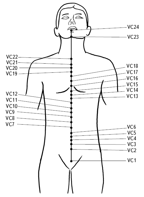 12 точка 5. Точка vc3 Чжун-Цзи. Точка vc12 Чжун-Вань. Точка vc4 Гуань-юань. Vc12 точка акупунктуры.