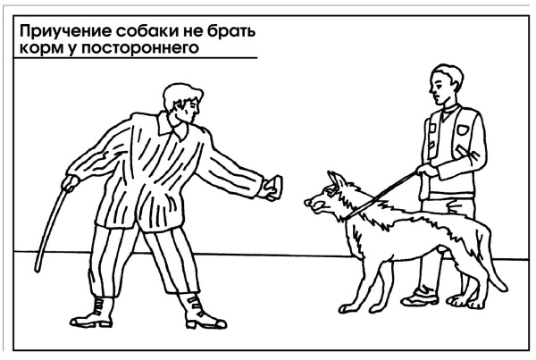 Приемы дрессировки собак. Раздражители у собак. Приучение собаки. Команды для собаки обучение. Дрессировка рисунок.