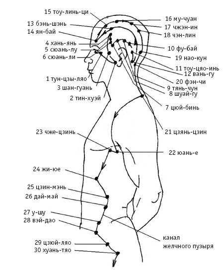 Точка тайный. Точки меридиана желчного пузыря на голове. Меридиан желчного пузыря точки простукивание. Меридиан желчного пузыря на голове. Меридиан желчного пузыря точки воздействия.