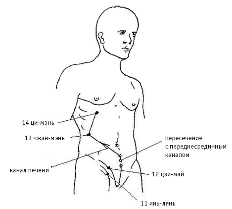 Функция точки g. Меридиан печени точки расположения. Меридиан печени и желчного. Канал печени. Канал печени акупунктурные точки.