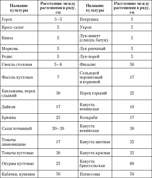 Посадка кабачков в открытый грунт схема посадки