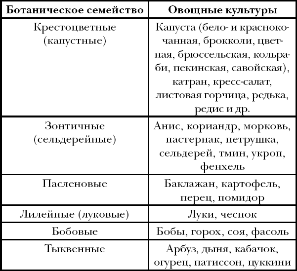 К каким семействам относятся овощные культуры