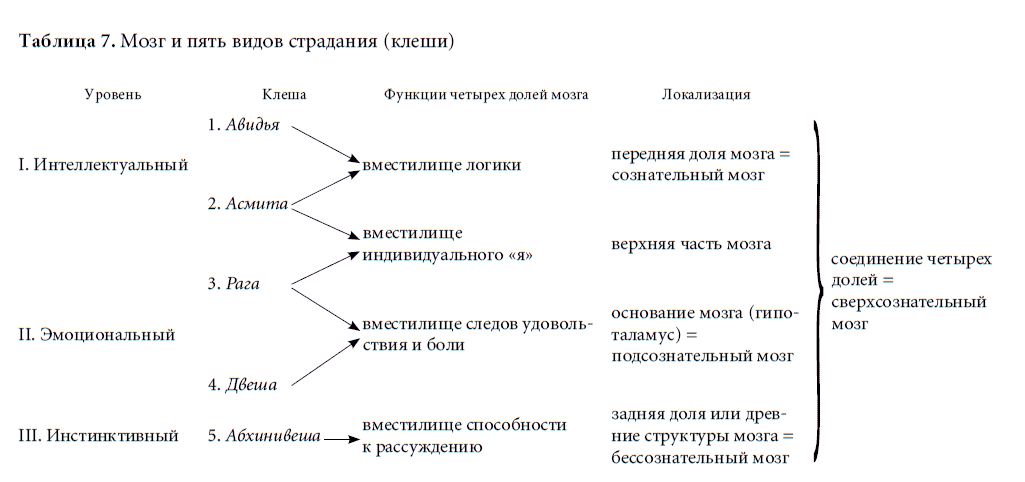 Таблица мозга. Виды страданий. Пять видов страдания. Авидья асмита Рага двеша абхинивеша. Три вида страданий.