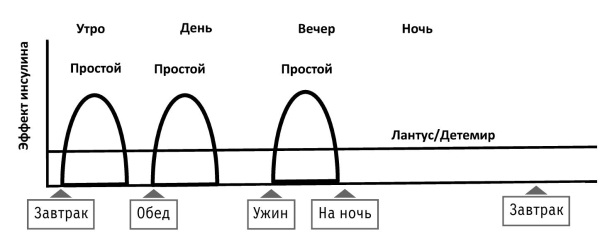 Базис болюсная схема