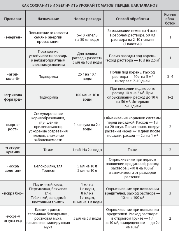 Схема обработки томатов от болезней и вредителей