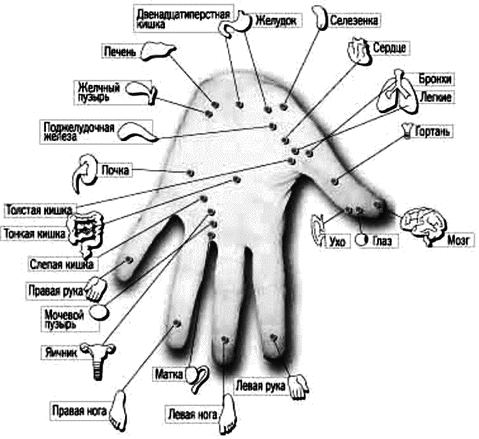 Какие точки массировать на руке. Акупунктурные точки ладони схема. Схема акупунктурных точек на ладони. Акупунктура тела человека схема болевые точки. Схема биологически активных точек на теле человека.