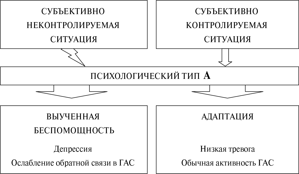 Субъективная ситуация. Тип ситуации в психологии это. Субъективная ситуация это. Биология поведения человека. Психотипы людей в туризме.