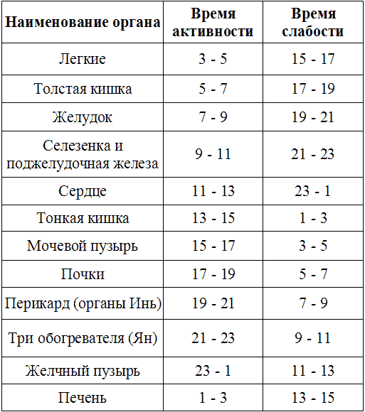 Меридианы человека по часам активности схема