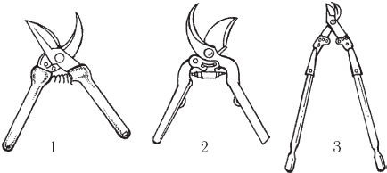 Садовые ножницы рисунок