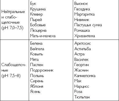 Кислотность помидора