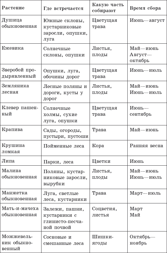 В какое время суток собирать травы. Таблица сбора трав. Таблица сбора лекарственных растений. Лекарственные растения таблица. Таблица лечебных растений.