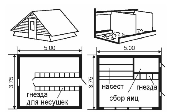 Гнездо для кур своими руками чертежи. Насест для кур несушек чертежи. Насест для кур несушек Размеры. Насест для индюков чертеж. Схема насеста для кур несушек.