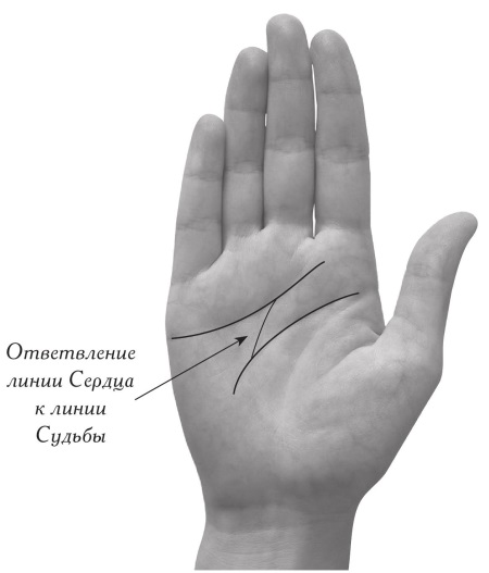 Линия жизни на левой длинная. Хиромантия вертикальные линии на Холме Меркурия. Линии на Бугре Меркурия. Линия головы очень длинная. Линия головы раздваивается.