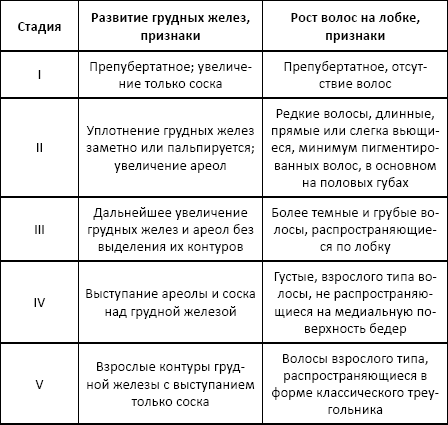 Шкала таннера для мальчиков с рисунками