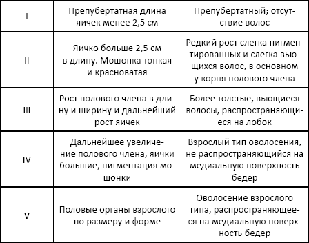 Шкала таннера для мальчиков с рисунками