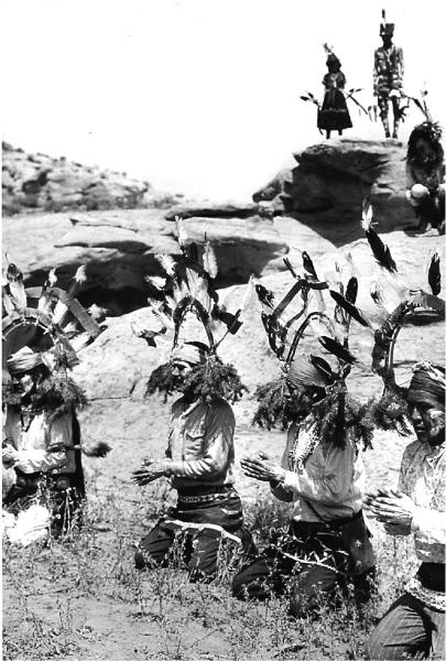 Сила шаманов. Боевая и лечебная магия индейцев дикого Запада. Растения силы в шаманской практике. Сила индейцев