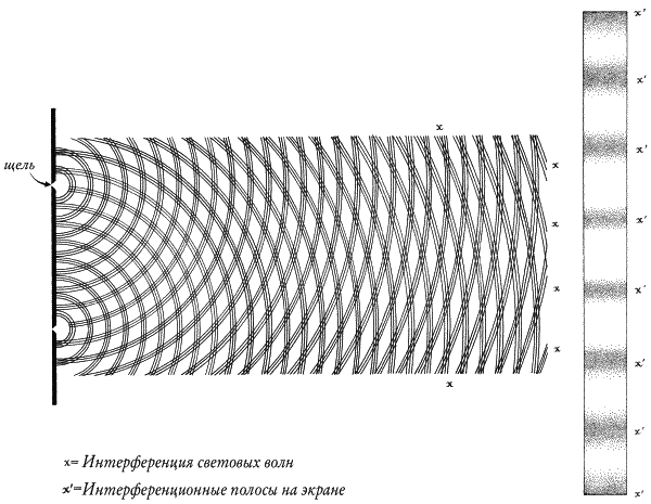 Интерференционные полосы рисунок