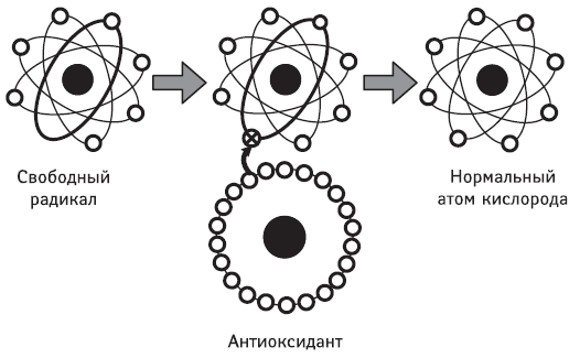 Нормальный атом. Свободные радикалы кислорода. Антиоксиданты схематично. Свободные радикалы воды. Свободные радикалы схема.