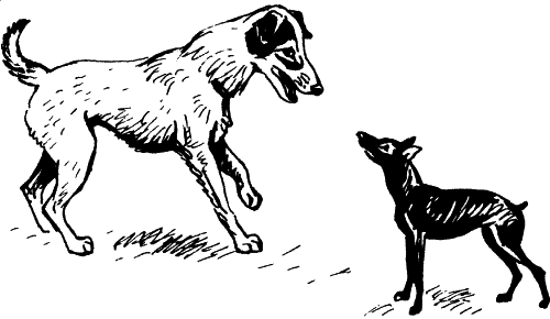 Сценка собаки. Нарисовать рисунок Дуров наша жучка. Рисунок к рассказу н.Дуровой невкусная отметка.