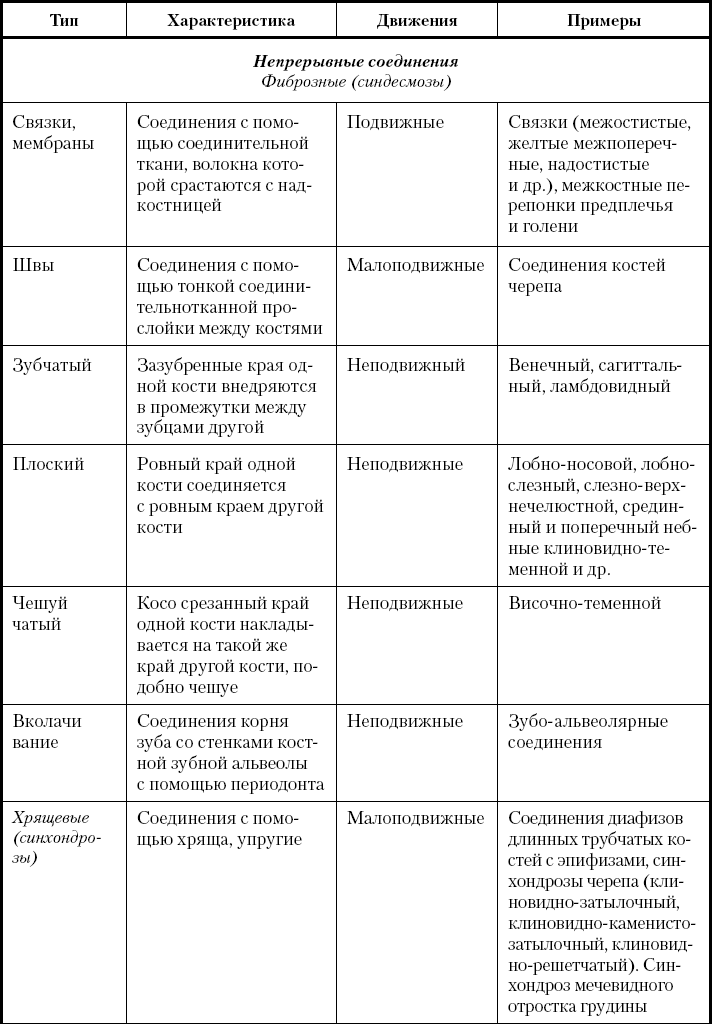 Характеристики соединения костей