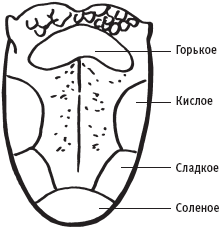 Мьютинг схема языка