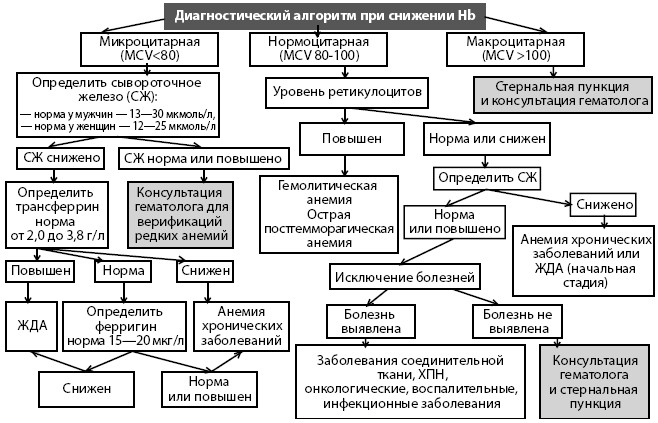 План обследования больных с анемией