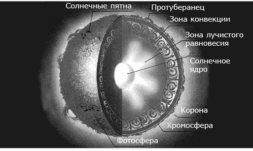 Сделайте рисунок солнца и укажите корону хромосфера фотосфера зона конвекции и ядро