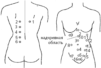 Как ставить банки на живот схема