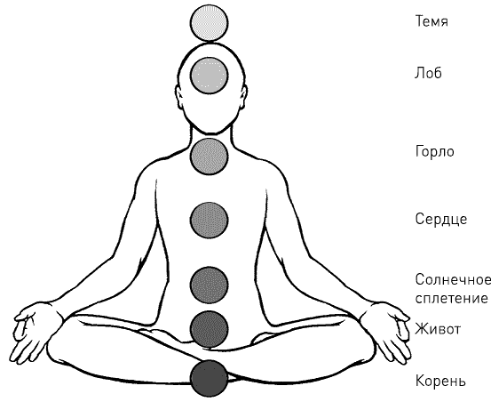 Как правильно рисовать чакры