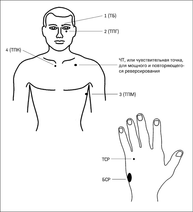При давление какие точки массировать. Биологически активные точки на лице. Точки для стимуляции мозга. Биоэнергетические точки. Точки проработки для биоэнергетического массажа.