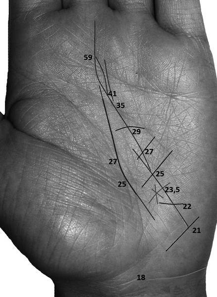Линия решений. Датировка линии судьбы. Датировка линии сердца в хиромантии. Датирование линии судьбы хиромантия. Линия жизни Датировка хиромантия.