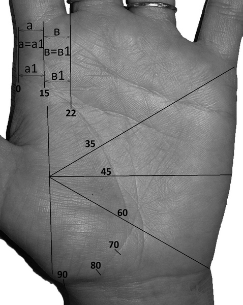 Линия параллельно линии жизни на руке. Датировка линии жизни. Линия жизни Датировка хиромантия. Датировка линии жизни на руке. Возраст по линии жизни.
