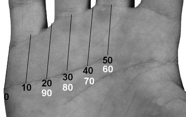 Линия де. Датировка по линии сердца хиромантия. Возраст на линии сердца. Датировка линии жизни.