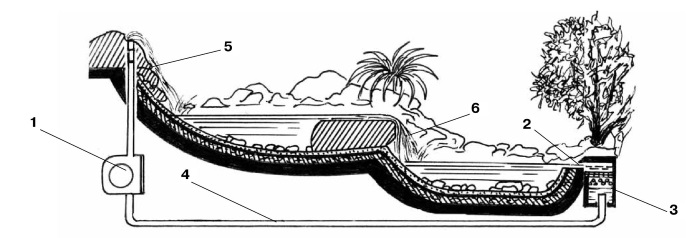 Схема пруда с биоплато с насосом