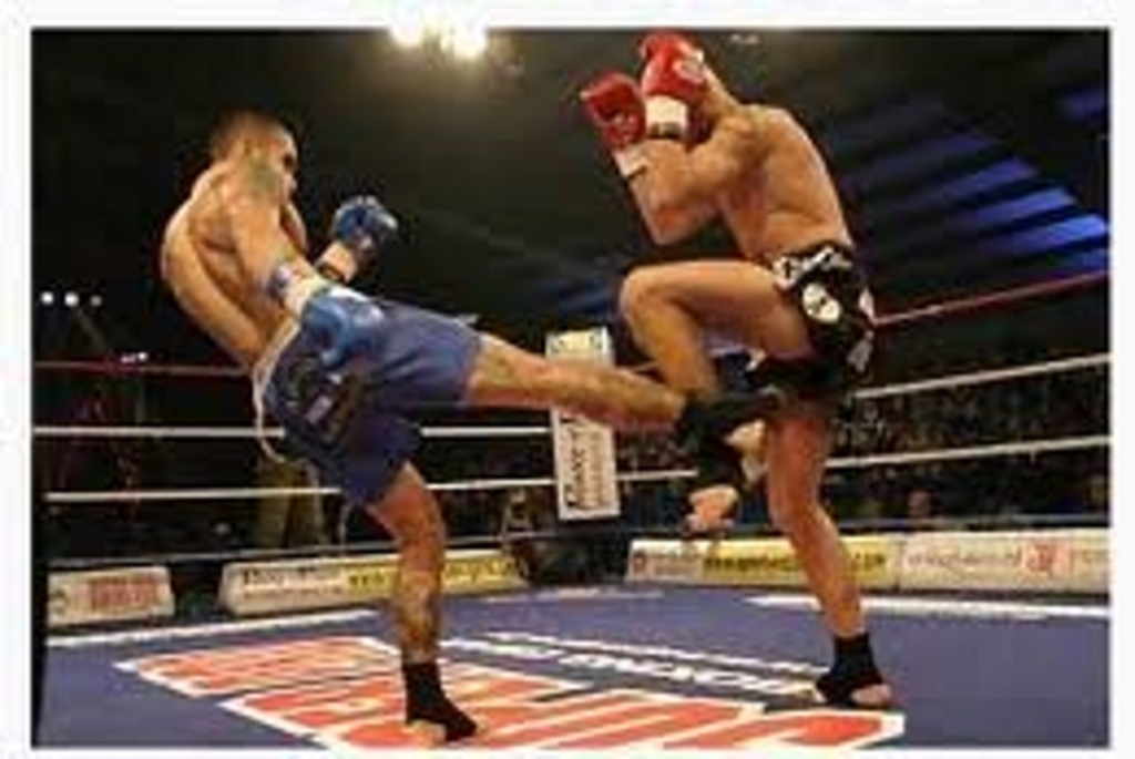 Уширо гери. Японское кик. Бразильский кик техника удара. Японское кик. Японское кик.