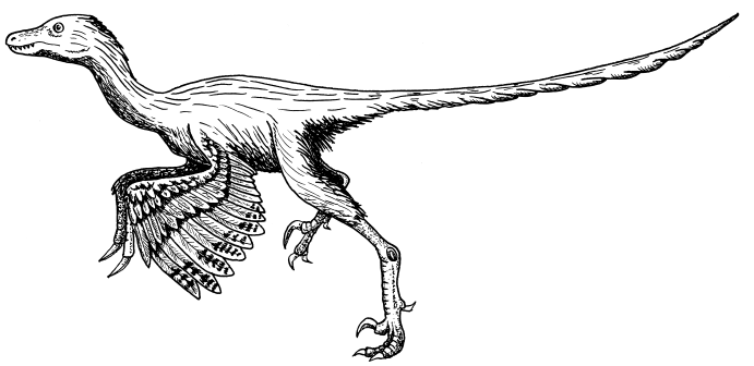 Археоптерикс рисунок карандашом