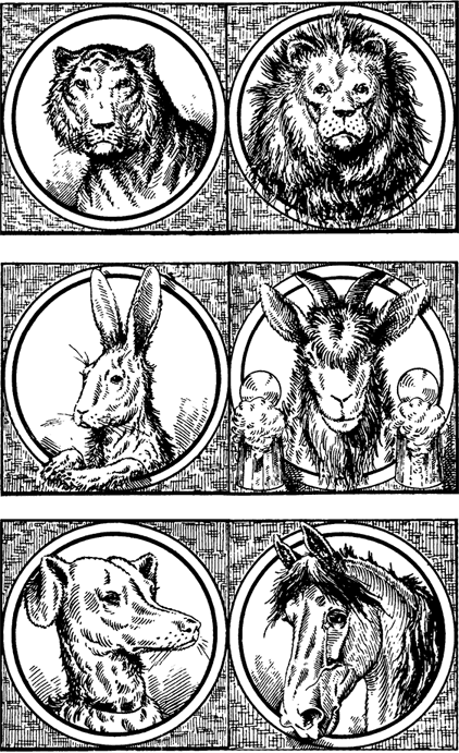 Кукольный дом амитивилля dvd. Розова книга. Эшбах андреас - выжжено. Выжжено книга. Сжечь ведьму мем.