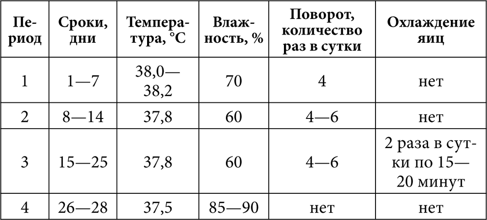 Схема вывода бройлеров