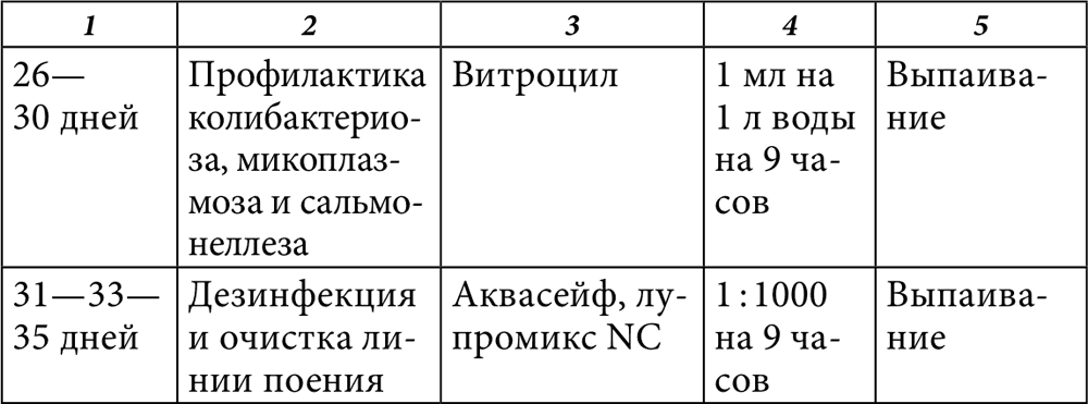 Схема вакцинации кур в домашних условиях