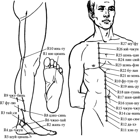 R тела. Внутренний ход меридиана почек. Меридиан почек человека схема. Меридиан почек в китайской медицине. Точки акупунктуры канала почек.