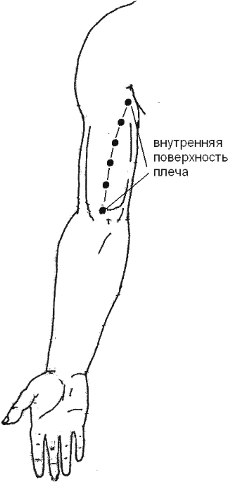 Внутренняя поверхность плеча. Трети плеча. Наружная поверхность плеча. Средняя треть поверхности плеча.