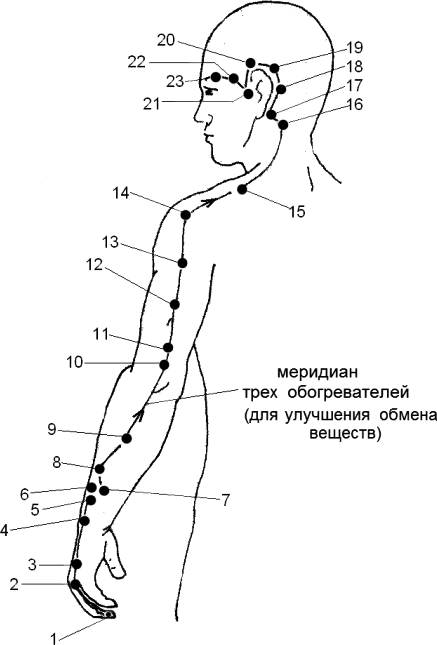 Расположение точки 1. Меридиан тройного обогревателя точки. Канал трех обогревателей акупунктурные точки. Меридиан тройного обогревателя точки расположения. Канал тройного обогревателя акупунктурные точки.