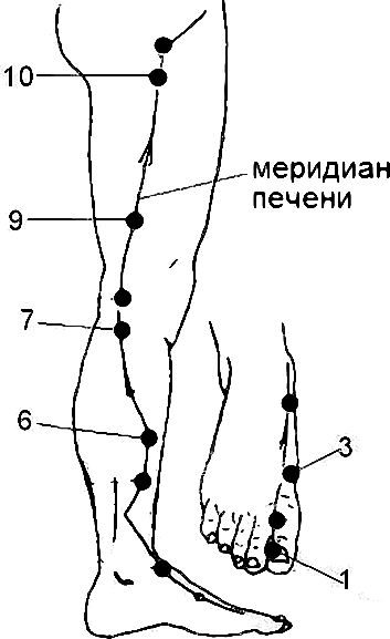 Меридиан печени в китайской медицине. Акупунктура Меридиан печени. Активные точки меридиана печени. Топография акупунктурных точек меридиана печени..