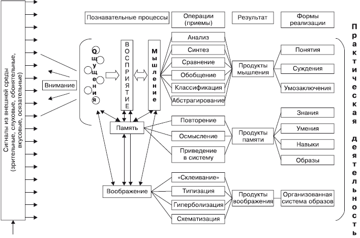 Общая психология в схемах и таблицах айсмонтас