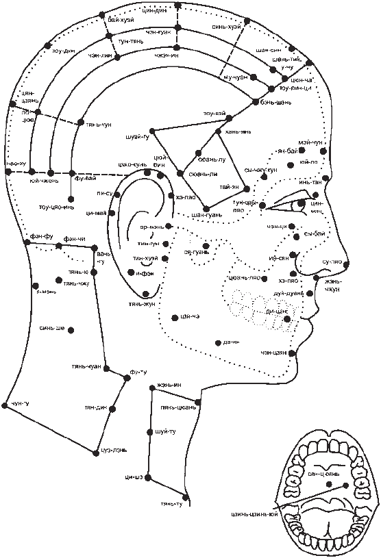 Акупунктурные точки на теле человека схема
