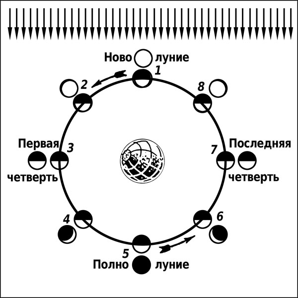 Схема солнца и земли и луны