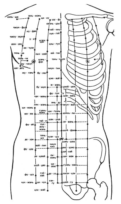 42 линии. Акупунктурные точки на спине человека. Точки акупунктуры на животе атлас. Иглоукалывание биологически активные точки топография. Атлас акупунктурных точек и меридианов.