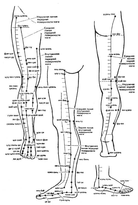 Массажные линии ног и бедер схема