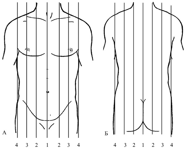 Линии человека. Топографические линии тела человека анатомия. Топографические линии грудной клетки пропедевтика. Топографические линии грудной клетки схема. Топографические линии туловища.