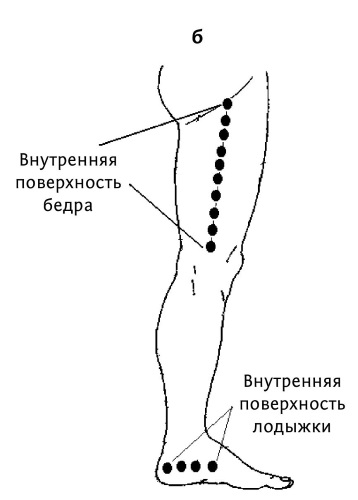 Верхняя треть бедра фото где находится